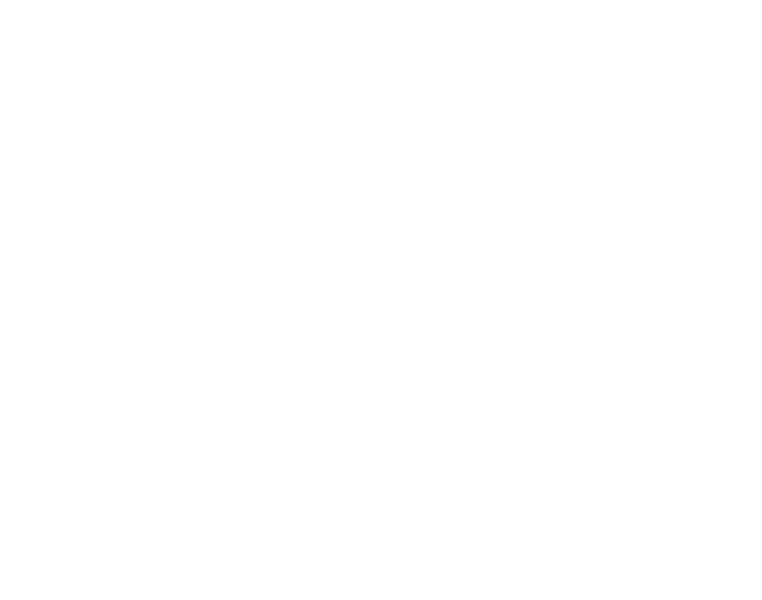 Republica Electronite